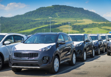 Sportage key to record results for the first half