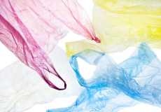 We pay for plastic bags in Slovakia and in the Czech Republic