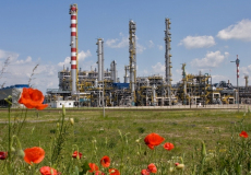 Construction of synthetic rubber plant completed