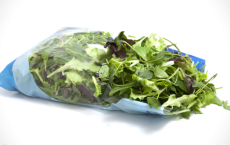 Ampacet introduces New FRESH+ antifog masterbatch for fresh produce packaging