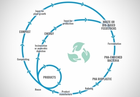 Bioplastics: Promising but pricey
