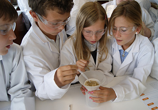 International Year of Chemistry has attracted many visitors to BASF