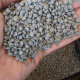 LDPE regranulate green