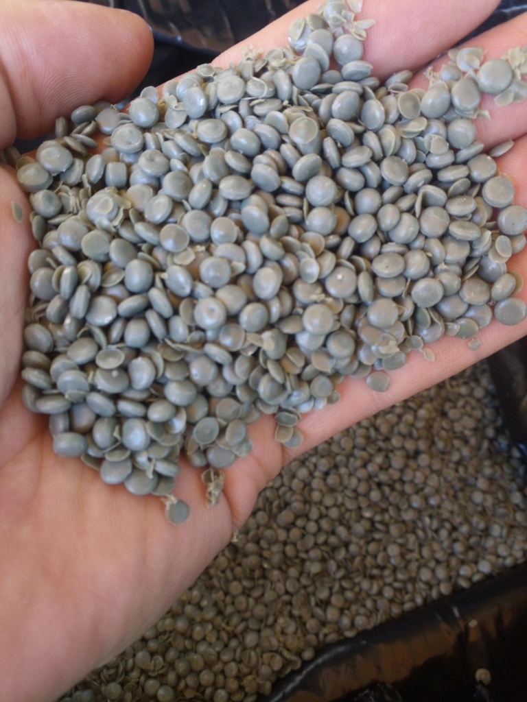 Sell: LDPE regranulate green